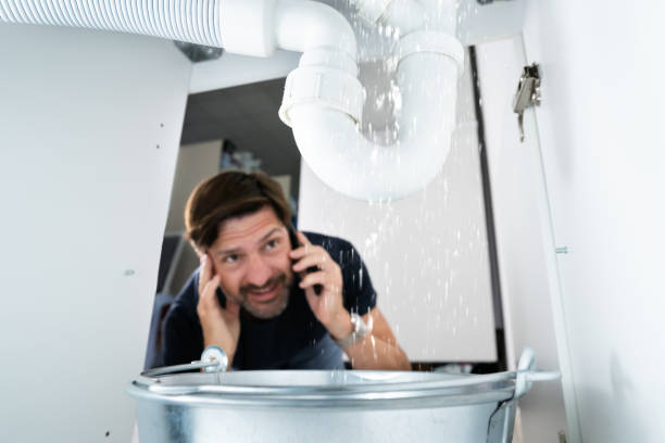 Best Residential Plumbing Services  in Niles, MI