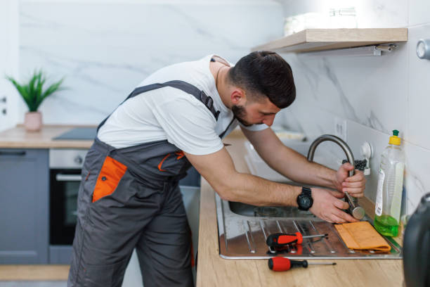Best Commercial Plumbing Services  in Niles, MI
