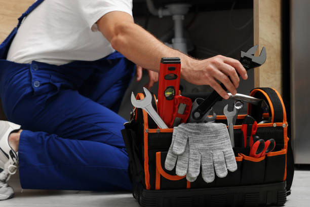 Best 24-Hour Plumber Near Me  in Niles, MI