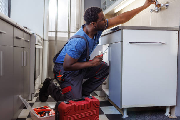 Best Faucet Repair  in Niles, MI