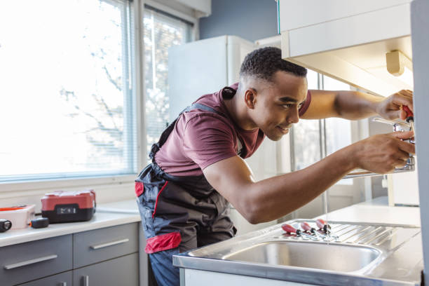 Best Plumbing Inspection Services  in Niles, MI