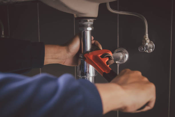 Best Leak Detection Services  in Niles, MI